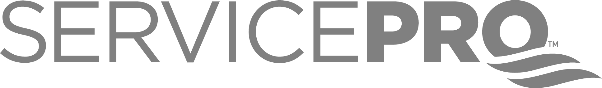 Service Pro